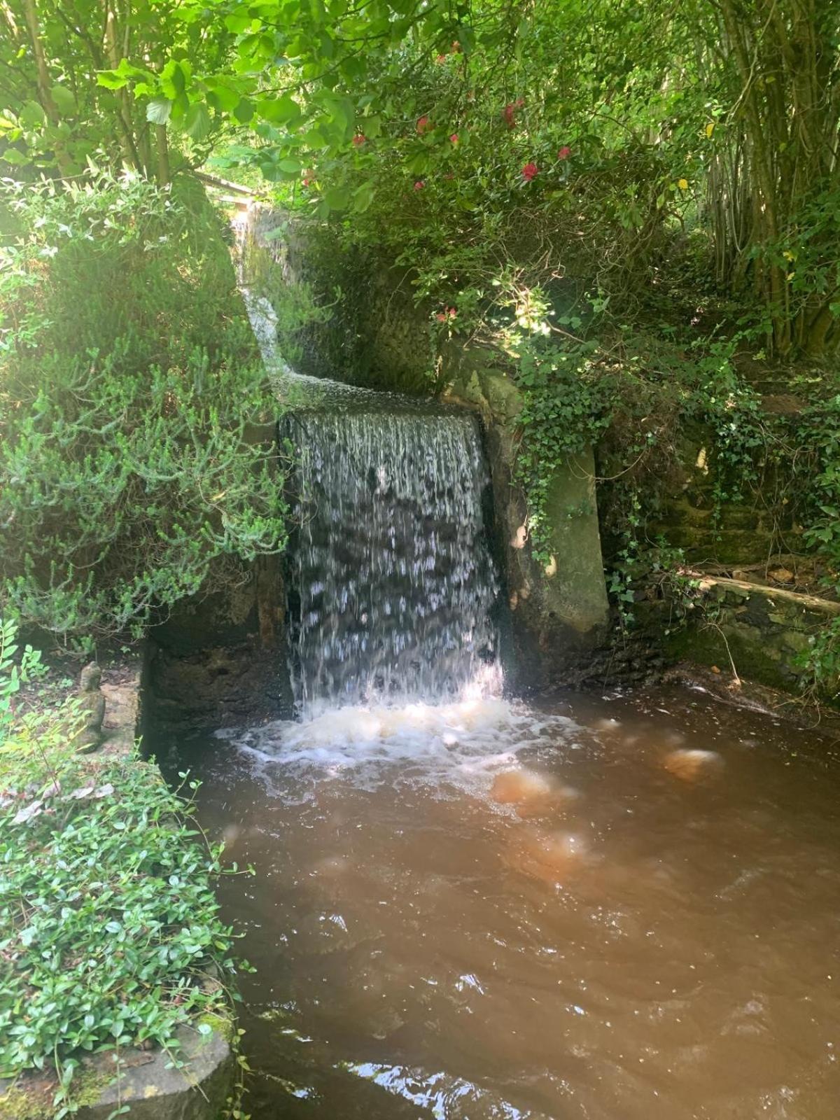 Moulin De Boiscorde, Centre Perche Bed & Breakfast Remalard Bagian luar foto