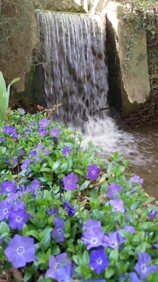 Moulin De Boiscorde, Centre Perche Bed & Breakfast Remalard Bagian luar foto
