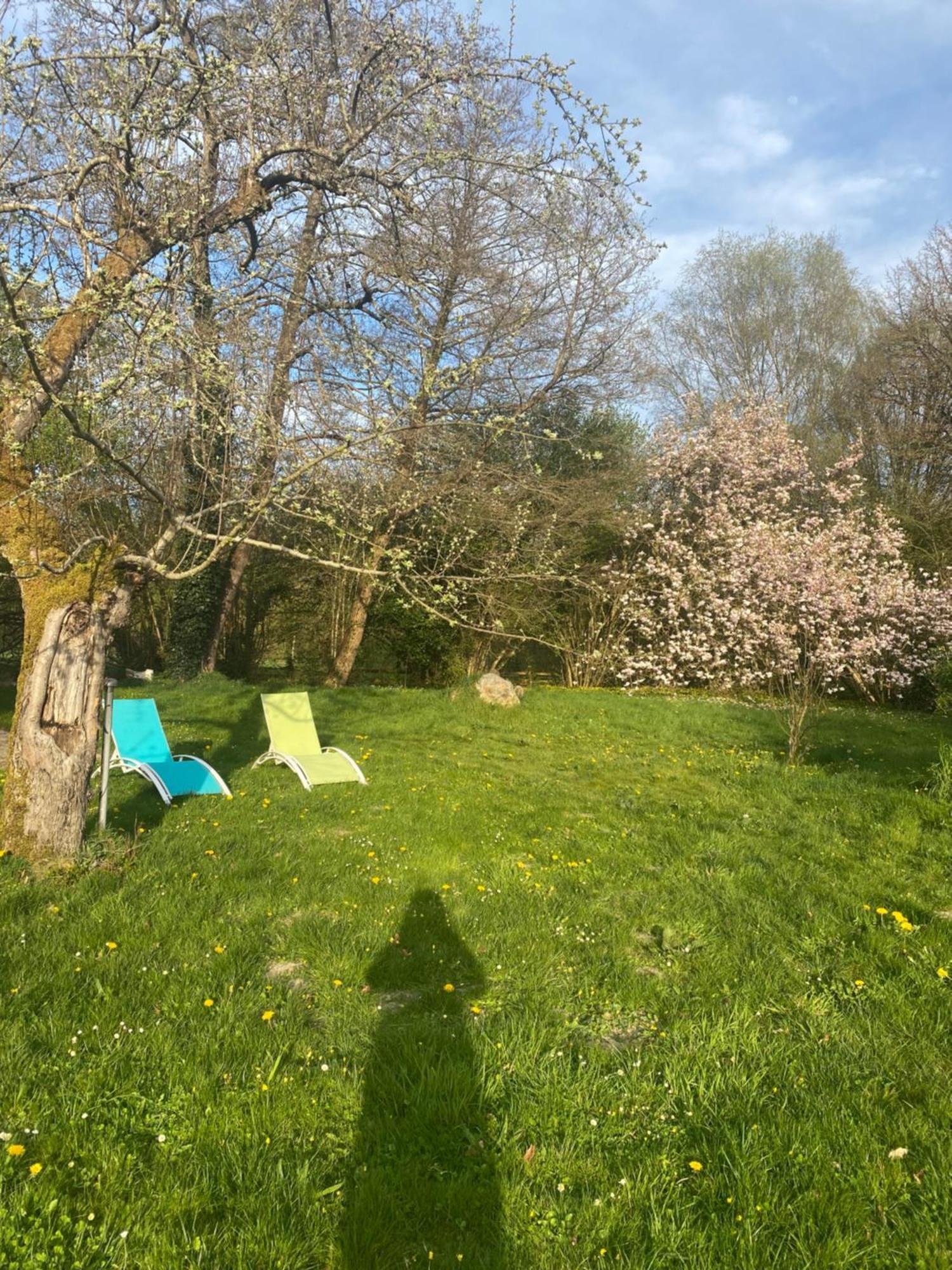 Moulin De Boiscorde, Centre Perche Bed & Breakfast Remalard Bagian luar foto